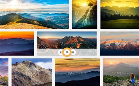 adobe stock photos|adobe stock image gallery.